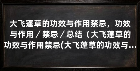 大飞蓬草的功效与作用禁忌,功效与作用/禁忌/总结(大飞蓬草的功效与作用禁忌(大飞蓬草的功效与作用