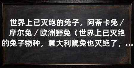世界上已灭绝的兔子，阿蒂卡兔／摩尔兔／欧洲野兔（世界上已灭绝的兔子物种，意大利鼠兔也灭绝了，意大利鼠兔灭绝了