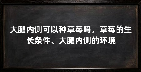 大腿内侧可以种草莓吗，草莓的生长条件、大腿内侧的环境