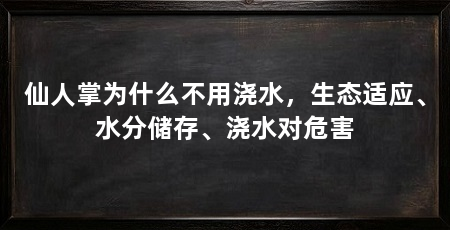 仙人掌为什么不用浇水，生态适应、水分储存、浇水对危害