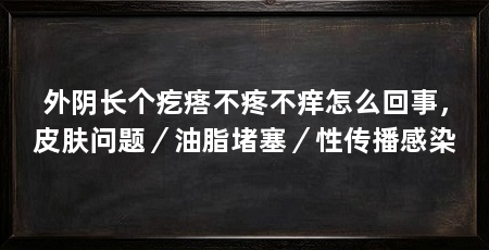 外阴长个疙瘩不疼不痒怎么回事，皮肤问题／油脂堵塞／性传播感染