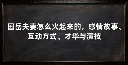 国岳夫妻怎么火起来的,感情故事、互动方式、才华与演技
