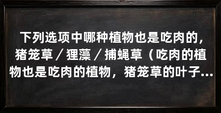 下列选项中哪种植物也是吃肉的，猪笼草／狸藻／捕蝇草（吃肉的植物也是吃肉的植物，猪笼草的叶子上有许多小颗粒