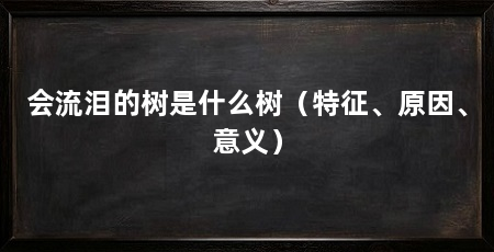 会流泪的树是什么树(特征、原因、意义)