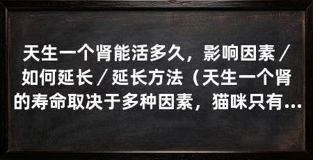 天生一个肾能活多久,影响因素/如何延长/延长方法(天生一个肾的寿命取决于多种因素,猫咪只有一个肾也可以活很长时间