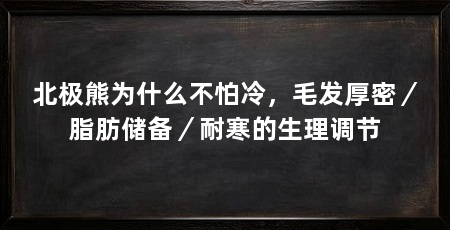 北极熊为什么不怕冷，毛发厚密／脂肪储备／耐寒的生理调节