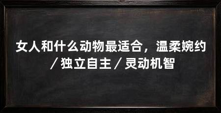 女人和什么动物最适合，温柔婉约／独立自主／灵动机智