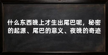 什么东西晚上才生出尾巴呢，秘密的起源、尾巴的意义、夜晚的奇迹