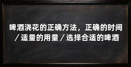 啤酒浇花的正确方法,正确的时间/适量的用量/选择合适的啤酒