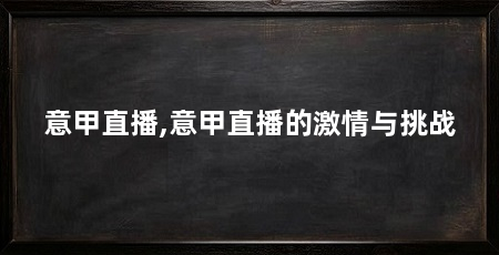 意甲直播,意甲直播的激情与挑战