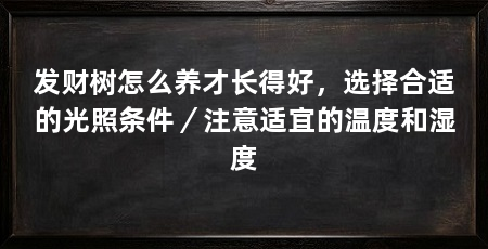 发财树怎么养才长得好，选择合适的光照条件／注意适宜的温度和湿度