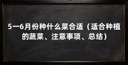 5一6月份种什么菜合适（适合种植的蔬菜、注意事项、总结）