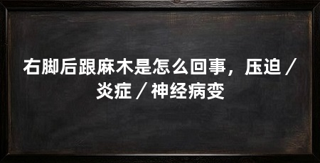 右脚后跟麻木是怎么回事,压迫/炎症/神经病变