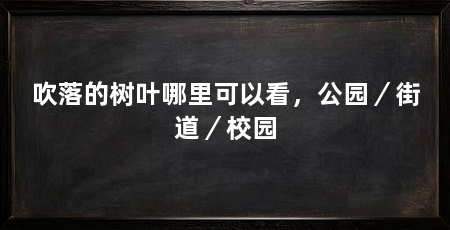 吹落的树叶哪里可以看，公园／街道／校园
