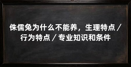 侏儒兔为什么不能养，生理特点／行为特点／专业知识和条件
