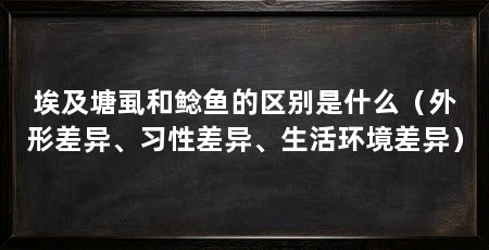 埃及塘虱和鲶鱼的区别是什么（外形差异、习性差异、生活环境差异）