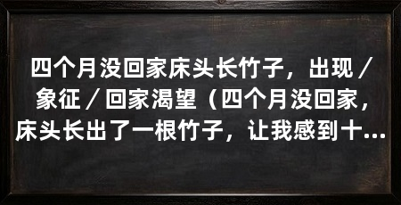 四个月没回家床头长竹子,出现/象征/回家渴望(四个月没回家,床头长出了一根竹子,让我感到十分惊讶