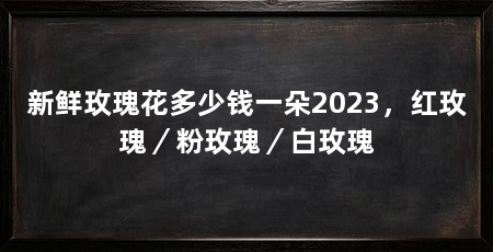 新鲜玫瑰花多少钱一朵2023，红玫瑰／粉玫瑰／白玫瑰