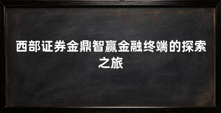 西部证券金鼎智赢金融终端的探索之旅