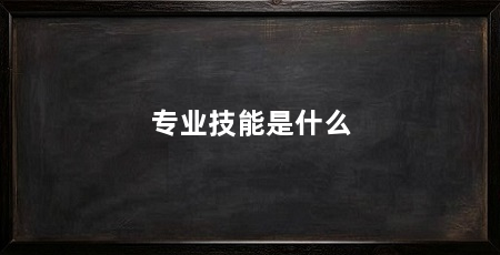 专业技能是什么