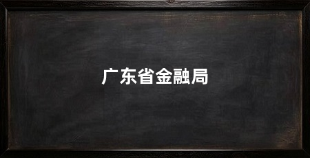广东省金融局