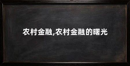 农村金融,农村金融的曙光