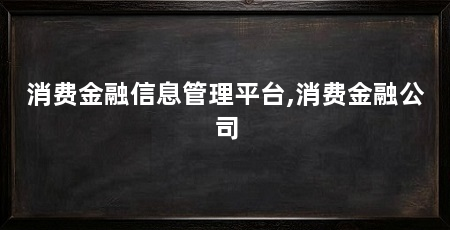 消费金融信息管理平台,消费金融公司