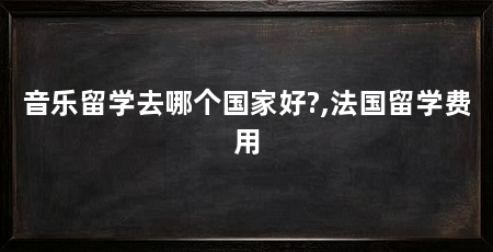 音乐留学去哪个国家好?,法国留学费用