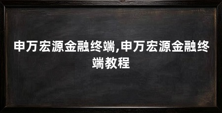 申万宏源金融终端,申万宏源金融终端教程