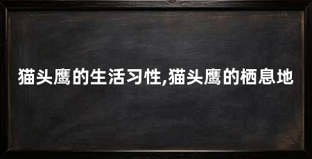 猫头鹰的生活习性,猫头鹰的栖息地