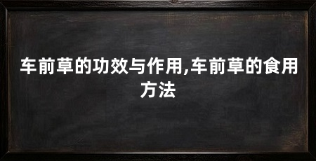 车前草的功效与作用,车前草的食用方法