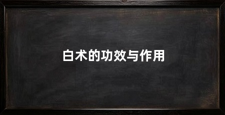 白术的功效与作用