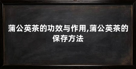 蒲公英茶的功效与作用,蒲公英茶的保存方法