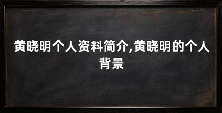 黄晓明个人资料简介,黄晓明的个人背景