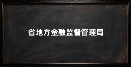 省地方金融监督管理局