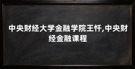 中央财经大学金融学院王忏,中央财经金融课程