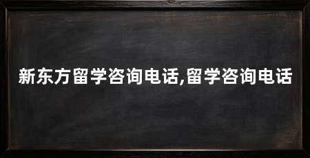新东方留学咨询电话,留学咨询电话
