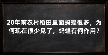 20年前农村稻田里面蚂蝗很多，为何现在很少见了，蚂蝗有何作用？