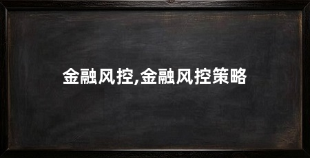 金融风控,金融风控策略