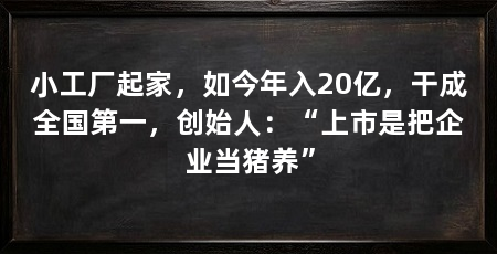 小工厂起家,如今年入20亿,干成全国第一,创始人:“上市是把企业当猪养”