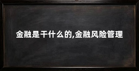 金融是干什么的,金融风险管理