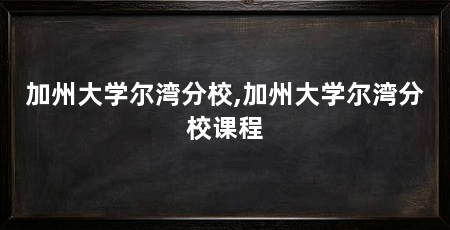 加州大学尔湾分校,加州大学尔湾分校课程