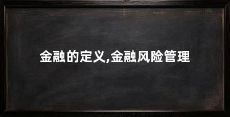 金融的定义,金融风险管理