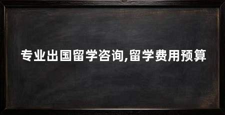 专业出国留学咨询,留学费用预算