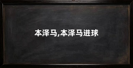 本泽马,本泽马进球