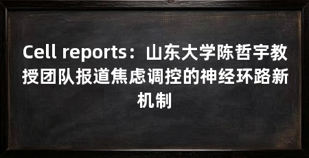 Cell reports:山东大学陈哲宇教授团队报道焦虑调控的神经环路新机制
