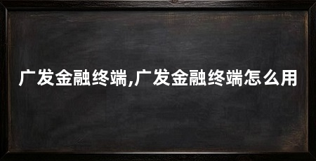 广发金融终端,广发金融终端怎么用
