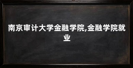 南京审计大学金融学院,金融学院就业