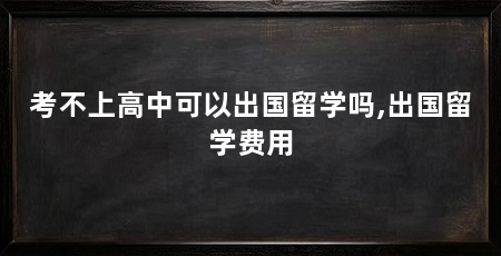 考不上高中可以出国留学吗,出国留学费用