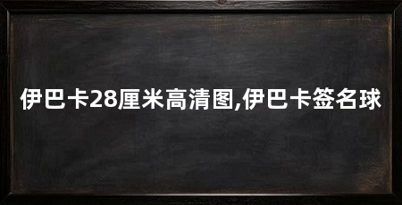 伊巴卡28厘米高清图,伊巴卡签名球